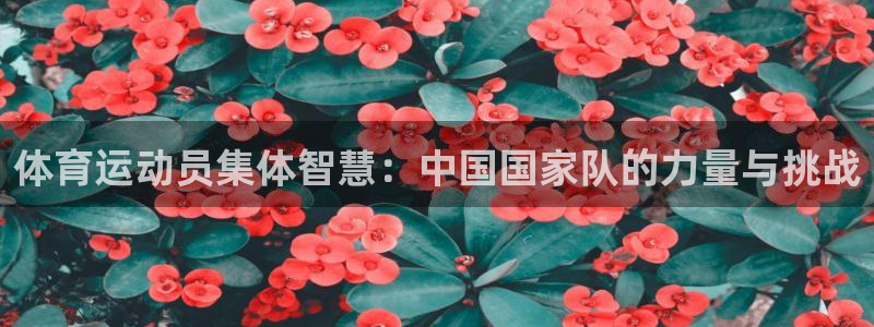 7m体育手机版