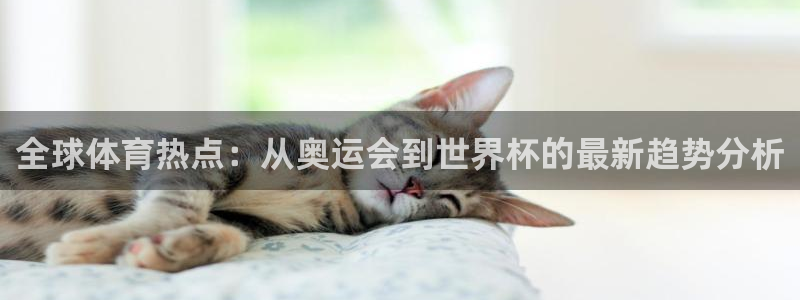 7m体育比分网：全球体育热点：从奥运会到世界杯的最新趋势分析
