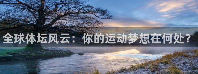 7m体育足球即时比分：全球体坛风云：你的运动梦想在何处？