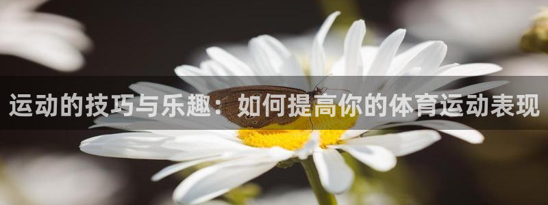 7m体育平台：运动的技巧与乐趣：如何提高你的体育运动表现