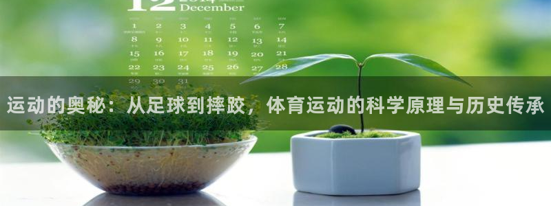 7m体育篮球：运动的奥秘：从足球到摔跤，体育运动的科学原理与历史传承