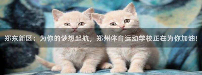 7m体育足球比分：郑东新区：为你的梦想起航，郑州体育运动学校正在为你加油!
